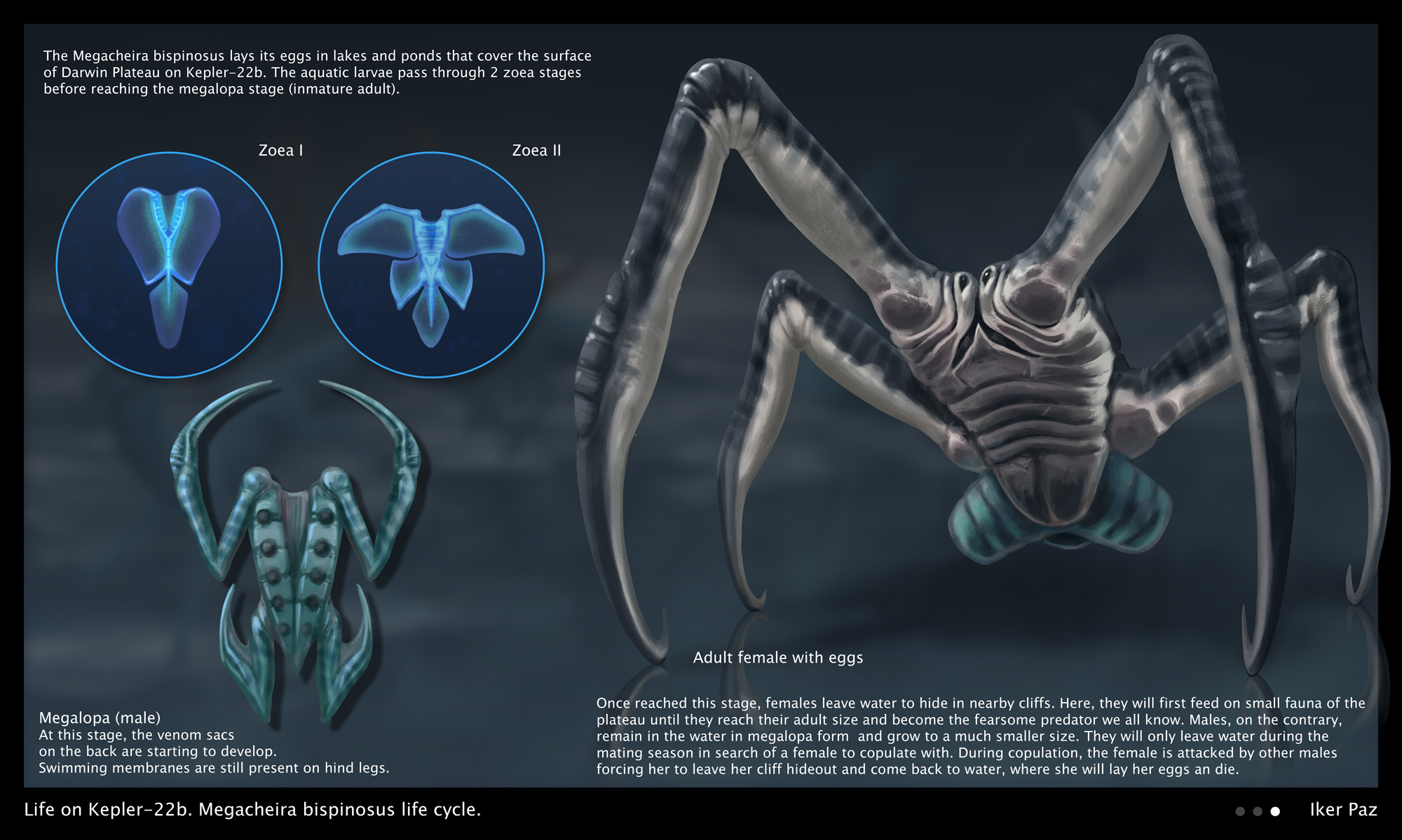 Log #creature design - Iker Paz Concept Artist