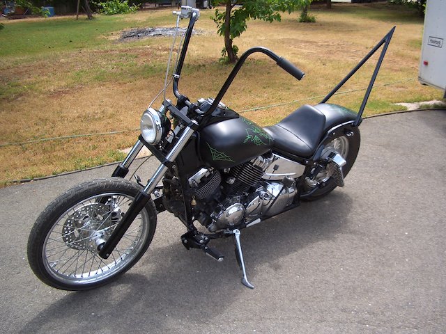 Xvs650 online sissy bar