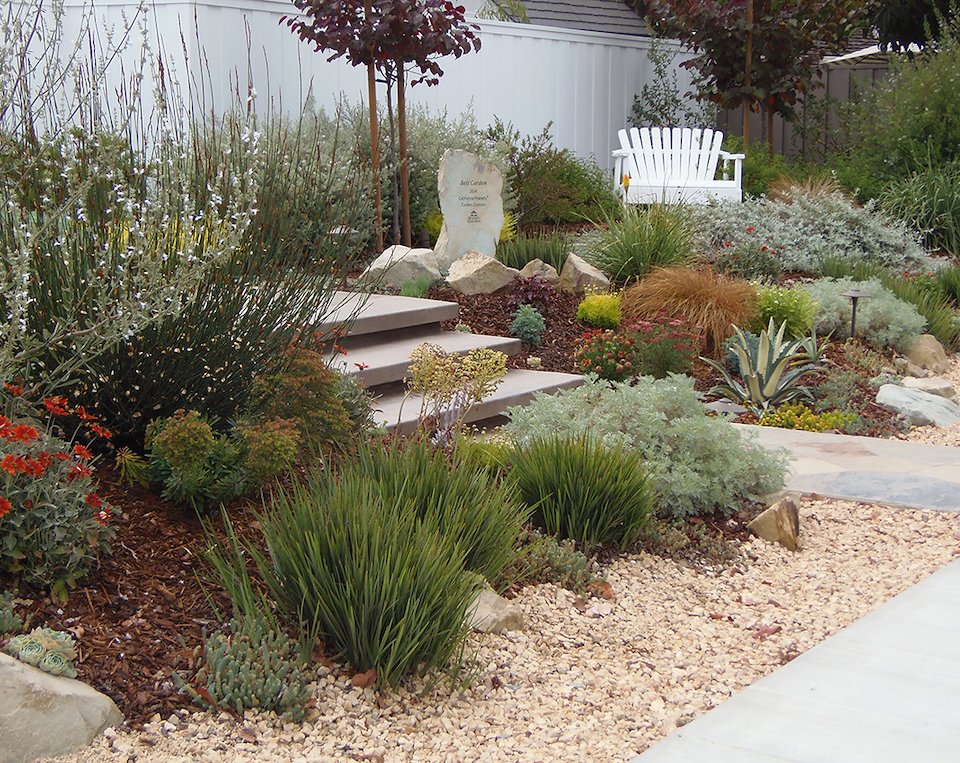 1st Place, Roger’s Gardens California Friendly Garden Contest - Sarah ...