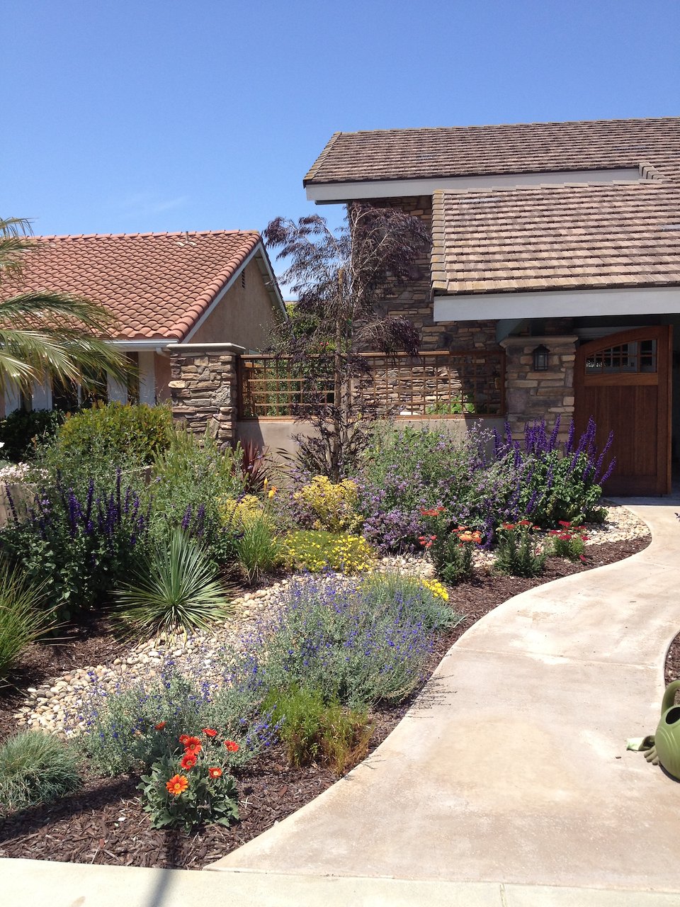 1st Place, Roger’s Gardens California Friendly Garden Contest - Sarah ...