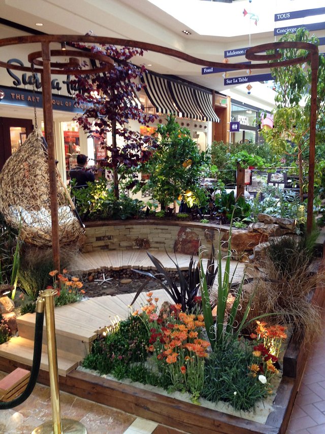 Fossil south coast clearance plaza