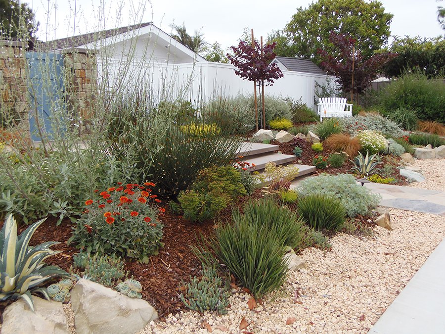 1st Place, Roger’s Gardens California Friendly Garden Contest - Sarah ...