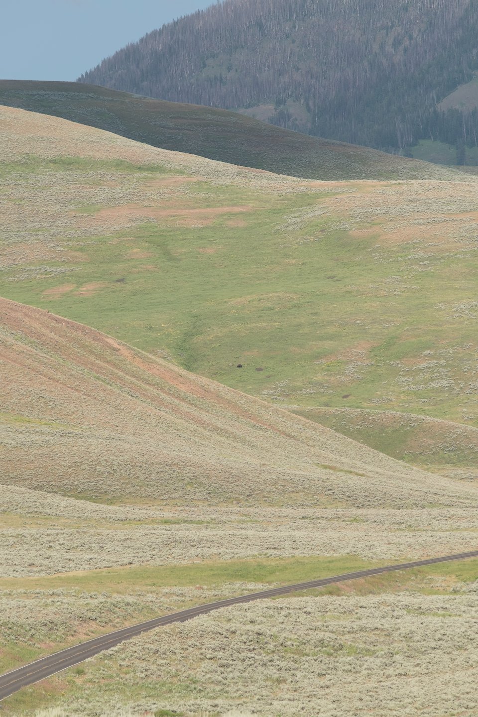 651JhTpseLweNgpKXx2HK0;960x1440.jpeg?auto=webp