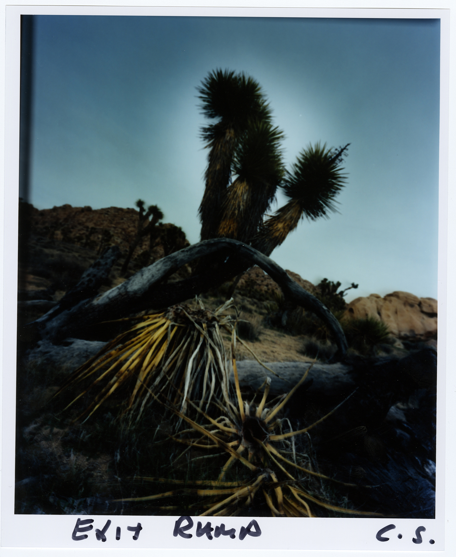 horizon icons - chris shaw photographer