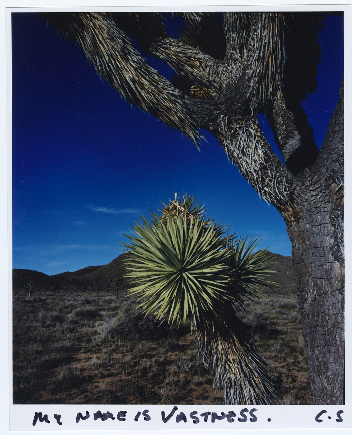horizon icons - chris shaw photographer