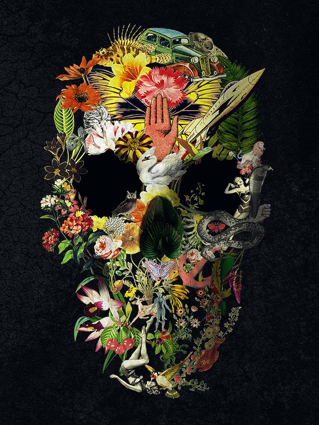 The Message - Ali GULEC