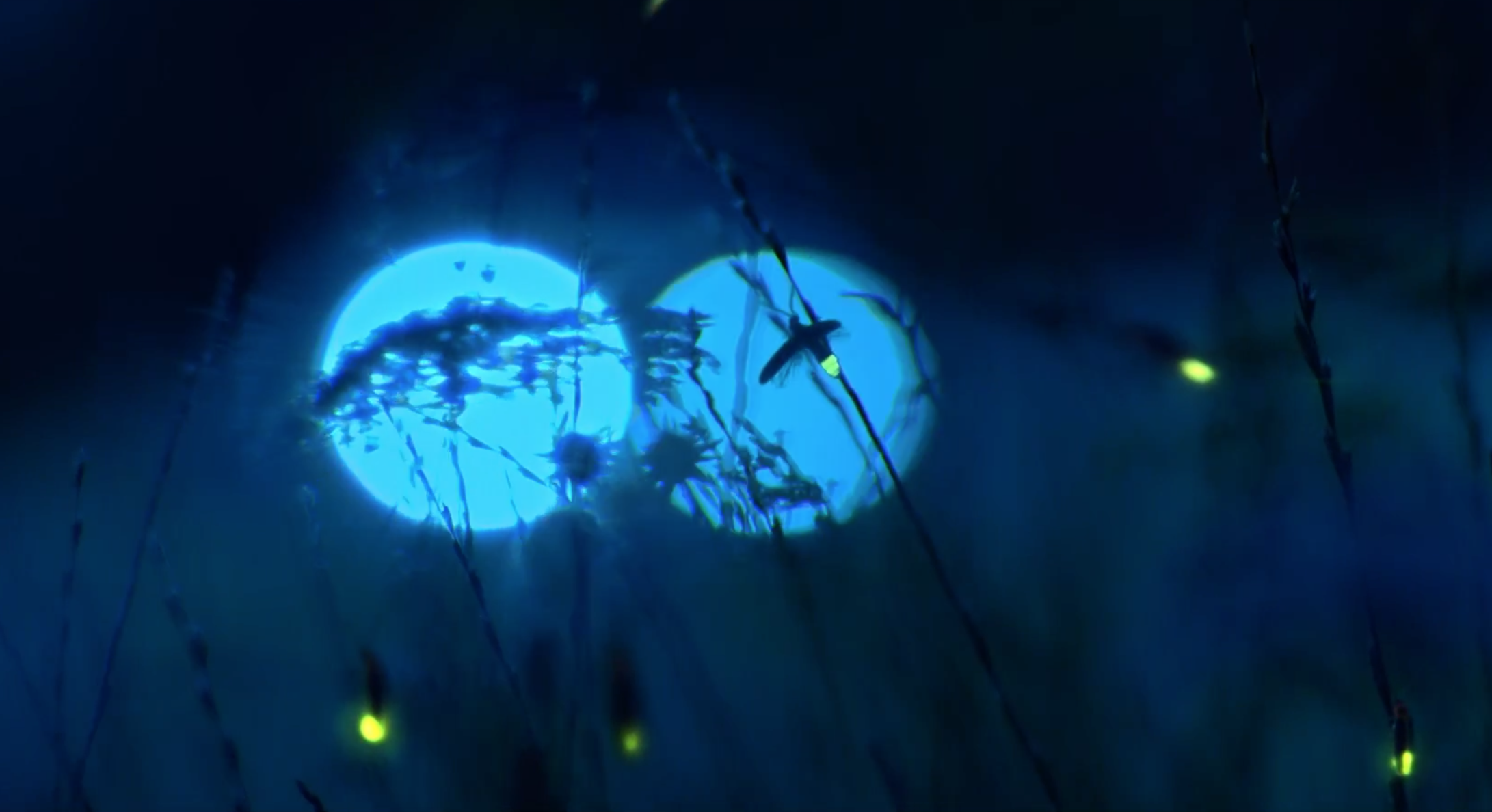 Range Rover: fireflies - martin & john