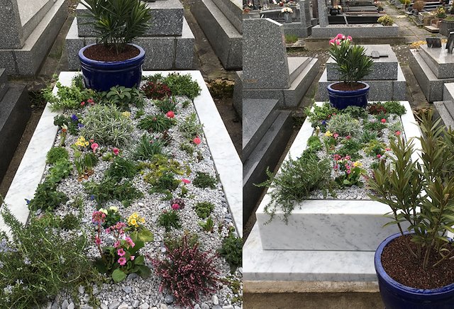Sépulture paysagère : la sépulture végétal pour votre tombe