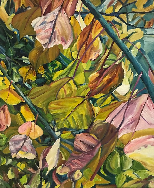 グラフィックアート Biwako360 °(autumn) Amazon.com: グラフィックアート Biwako360 °(autumn) Amazon.com: