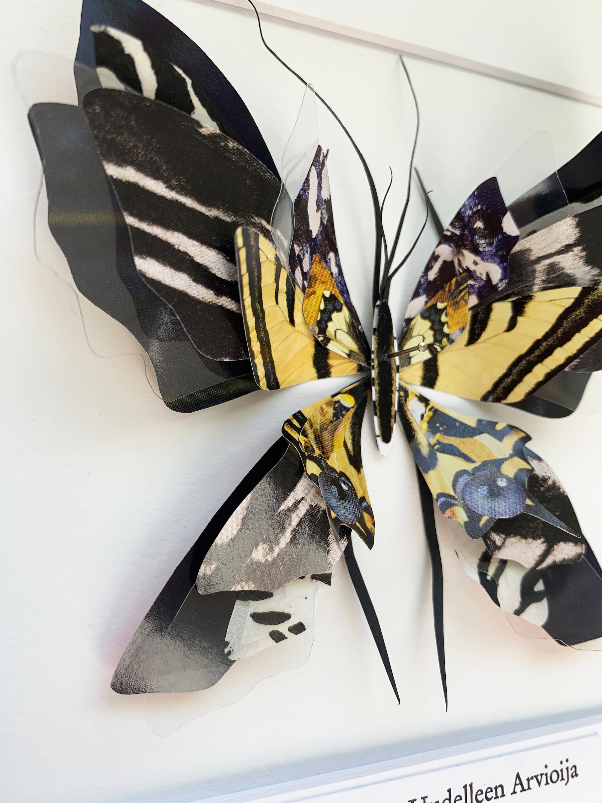 Paper Bugs - Anu Halmesmaa / Visual Artist