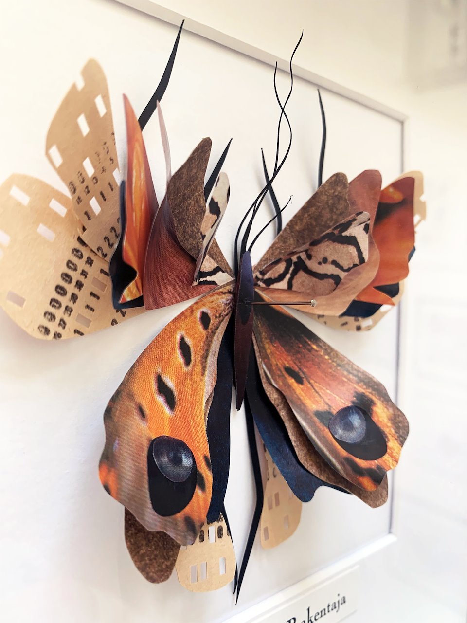 Paper Bugs - Anu Halmesmaa / Visual Artist