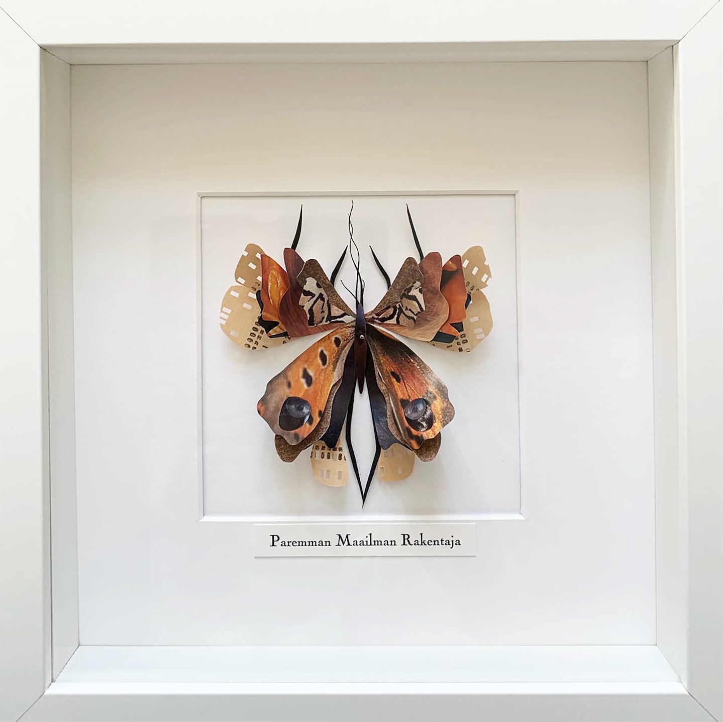 Paper Bugs - Anu Halmesmaa / Visual Artist