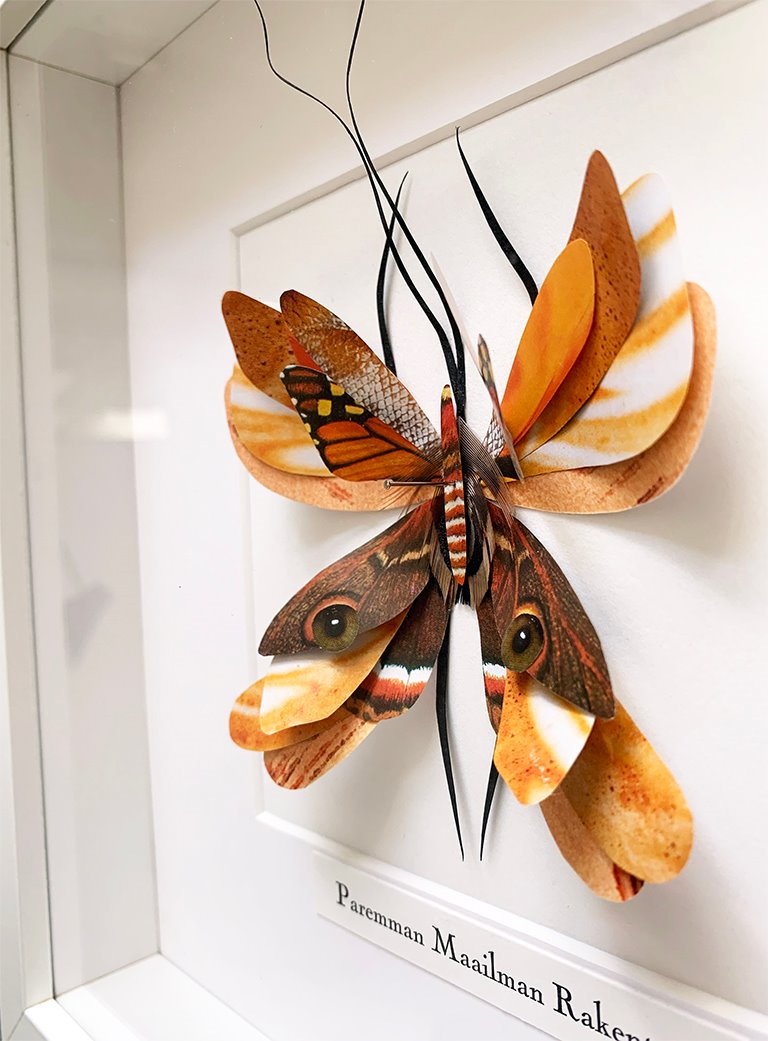 Paper Bugs - Anu Halmesmaa / Visual Artist