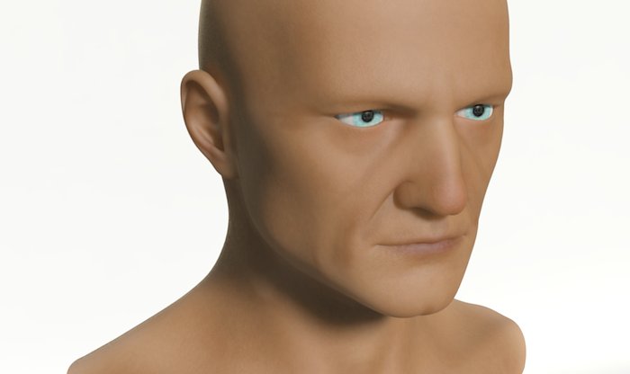 Mannequin Male Head H33