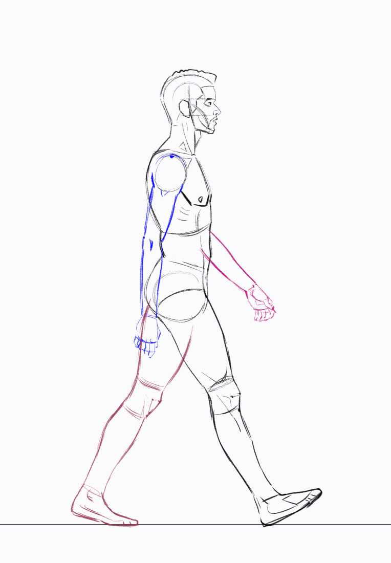 Motion Studies - Daniel St. Clair Animation Portfolio