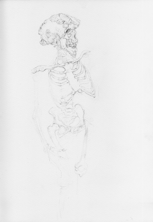 Merrick Skeleton John Merrick Skeleton Mr Merrick Lucy Lyons Artist