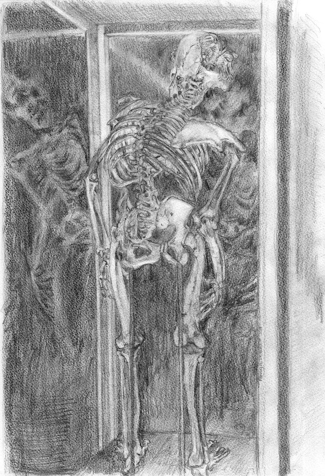 Merrick Skeleton John Merrick Skeleton Mr Merrick Lucy Lyons Artist