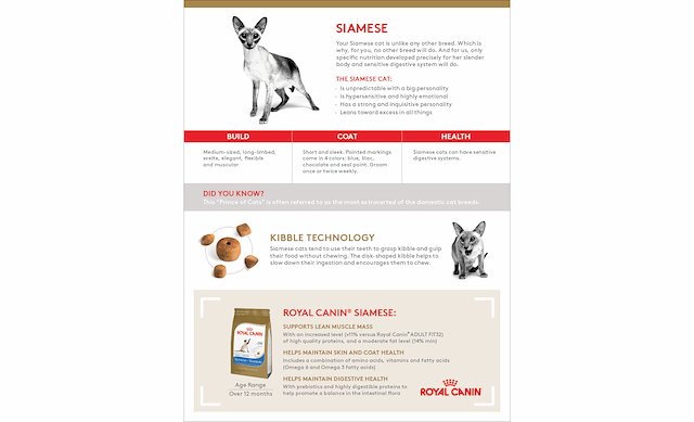Royal top canin kangaroo