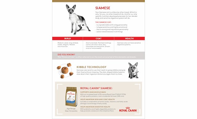 Royal shop canin kangaroo