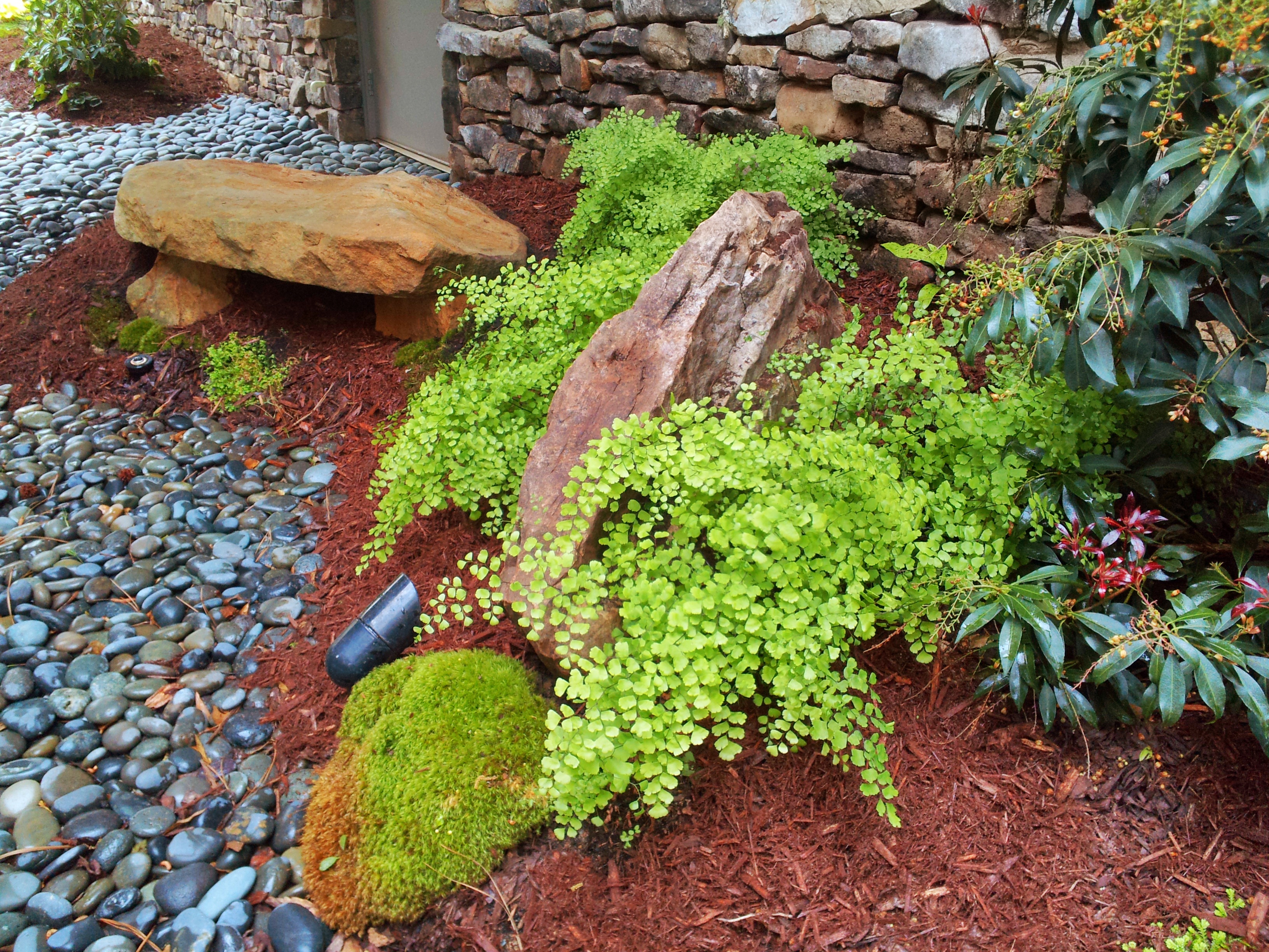 Natural Woodland Gardens - Modern Japanese Landscape Design