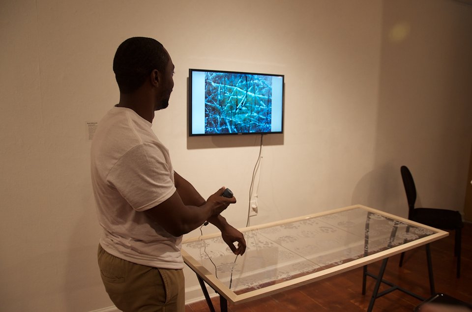 Symbiosis - Sarah Rose Rabinowitz