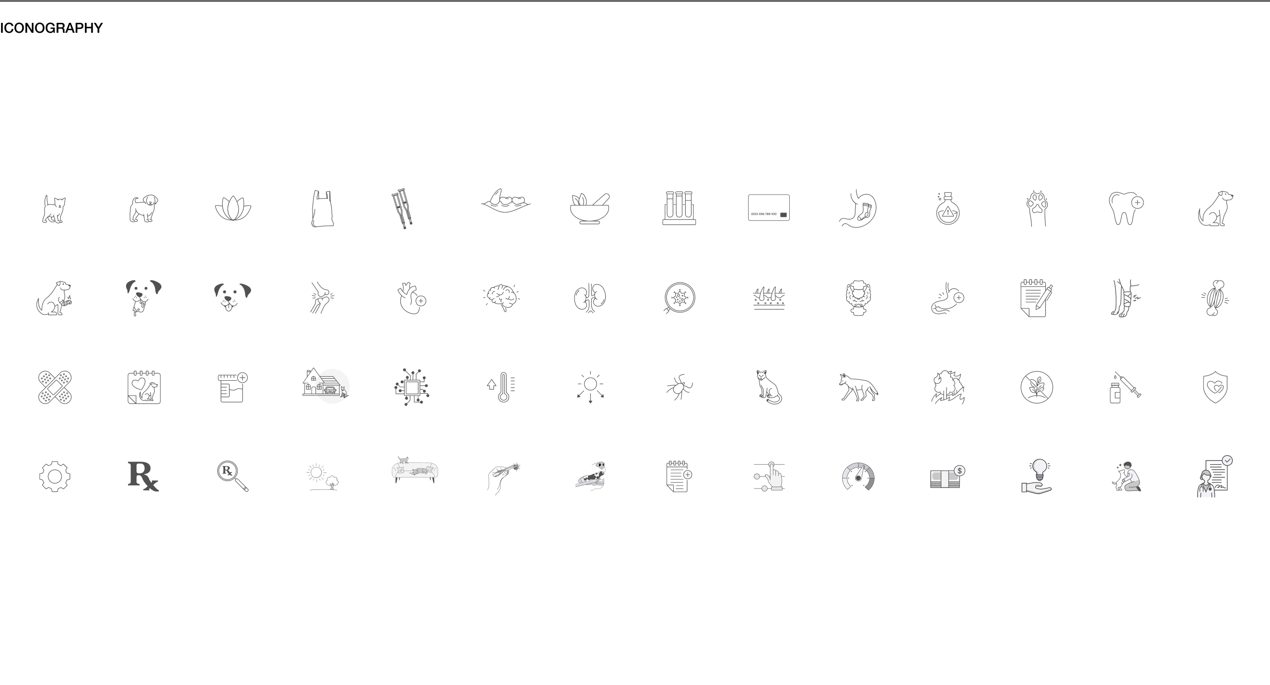 Fetch Branding Adam Ryan Fetch branding adam ryan