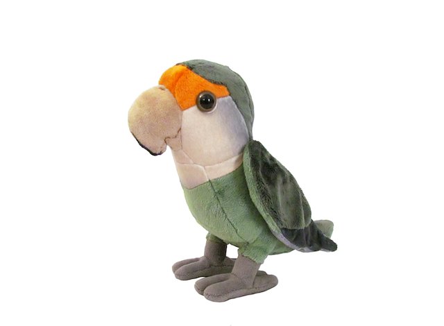 Conure plush outlet