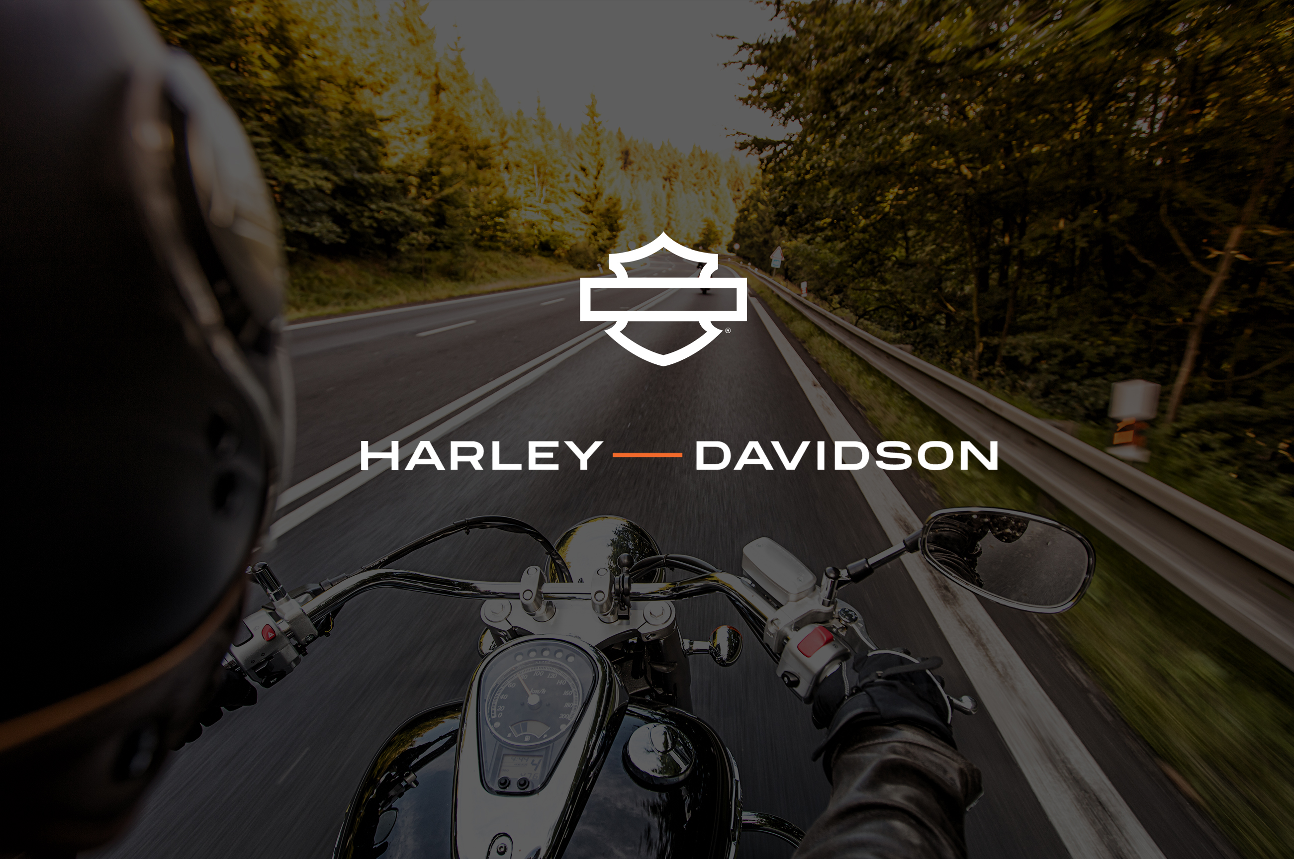 HarleyDavidson Training Learning Developer