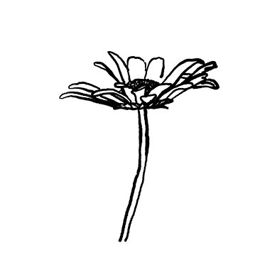 Daisy illustration print