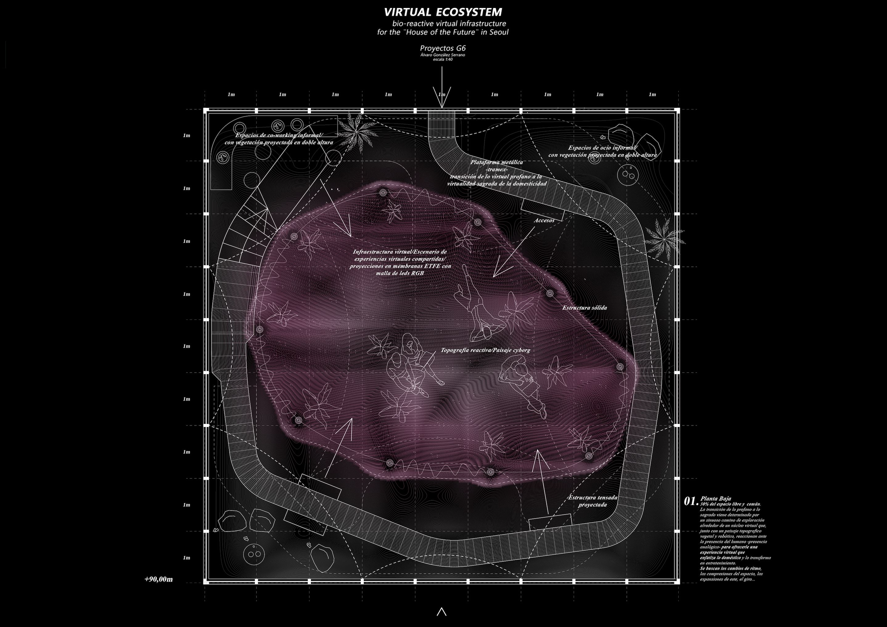 Virtual Ecosystem - Gonzalez Serrano Studio+