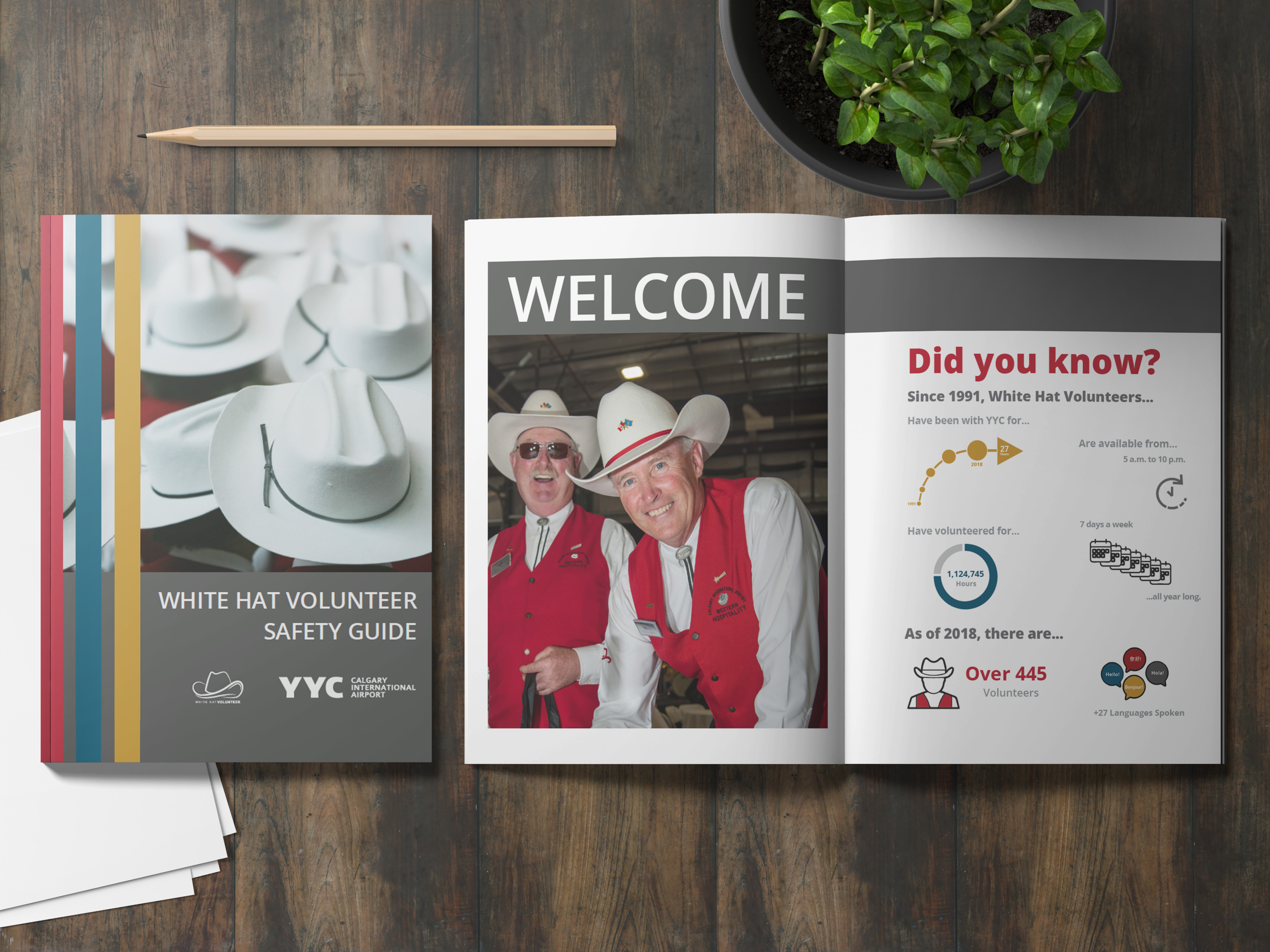 Internship Projects - näk