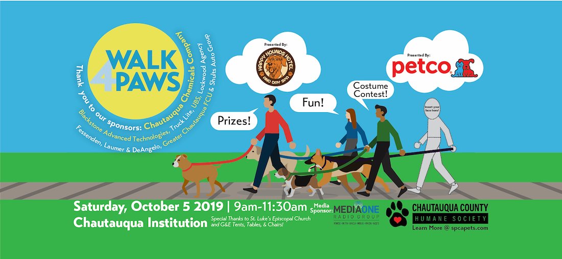 walk 4 paws Mol Morse