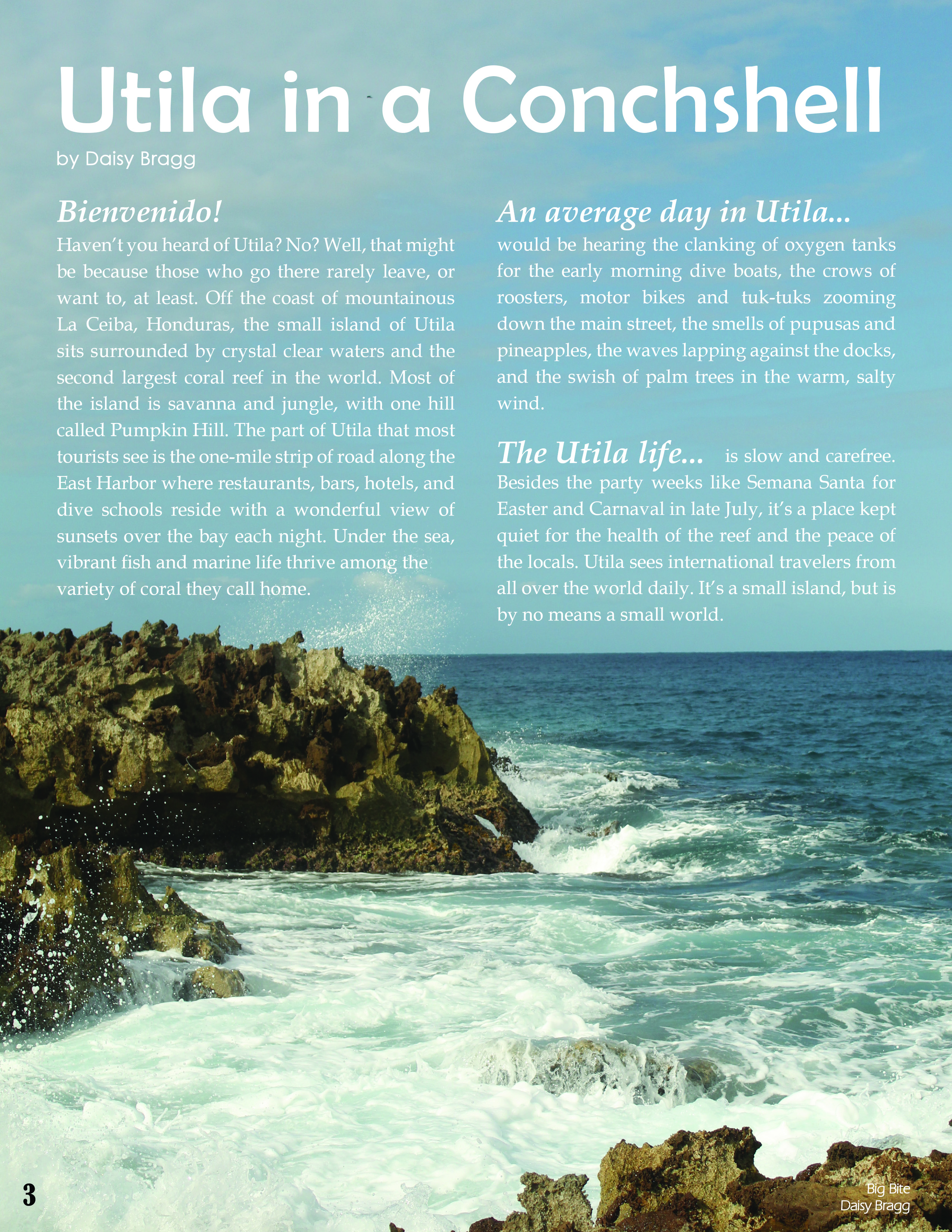 Layout Design/Journalism - Daisy Bragg