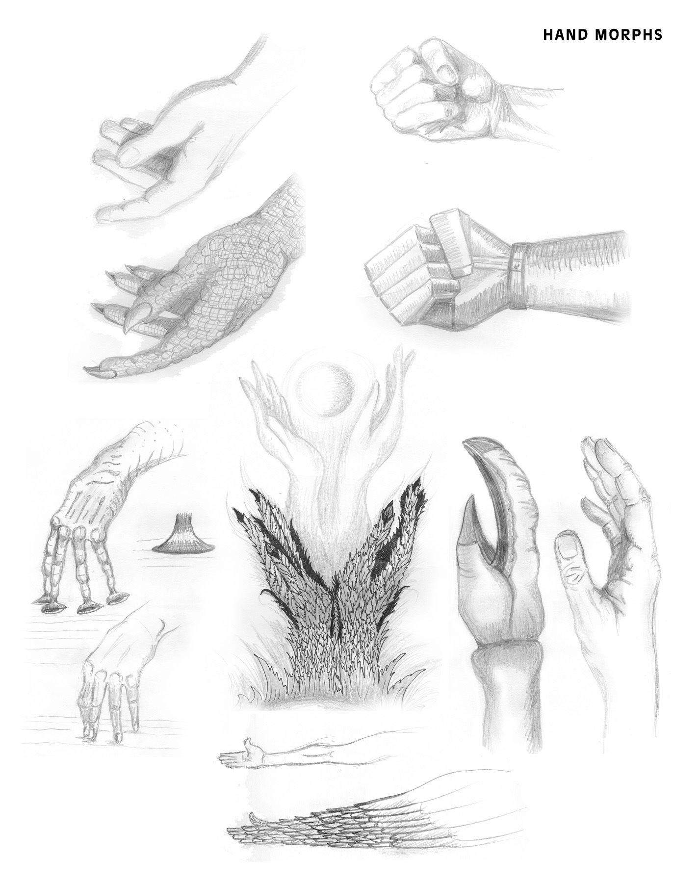 Metamorphized Handscape Sketches