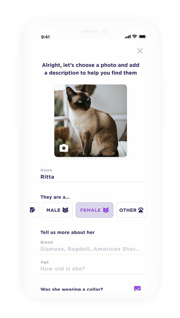 Pawsies - Jenn Godoy — UX / UI / BRANDING Pawsies - Jenn Godoy — UX / UI / BRANDING