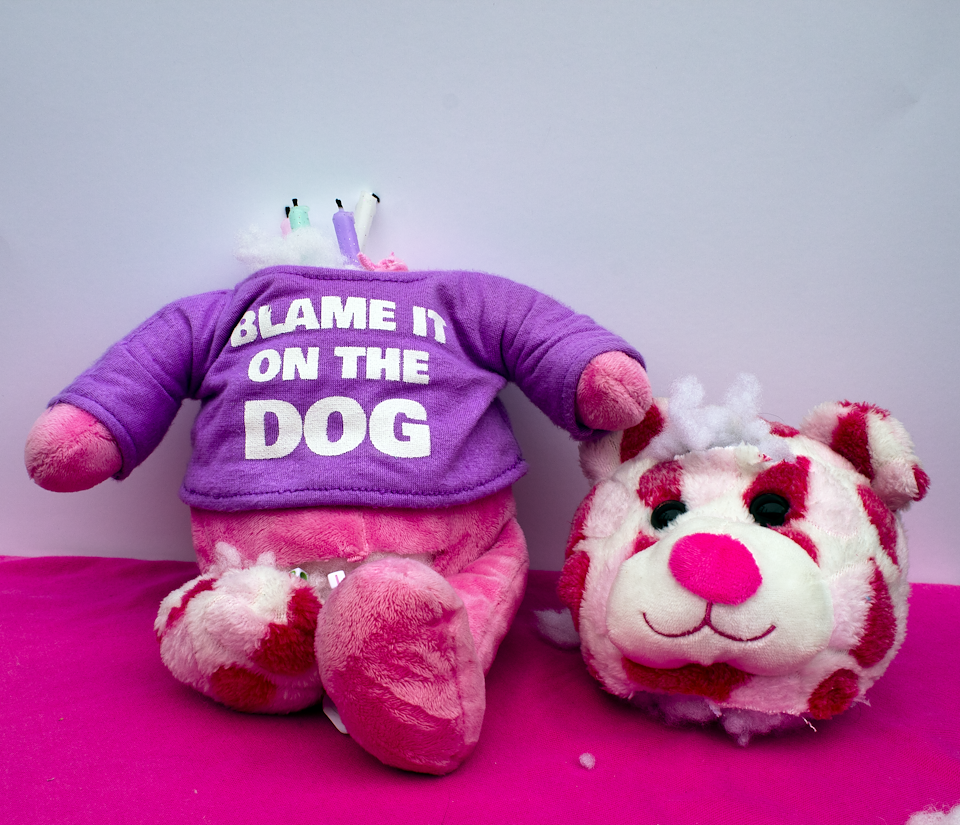 stuffie autopsy (2022) - jasmine amir / mixed media artist